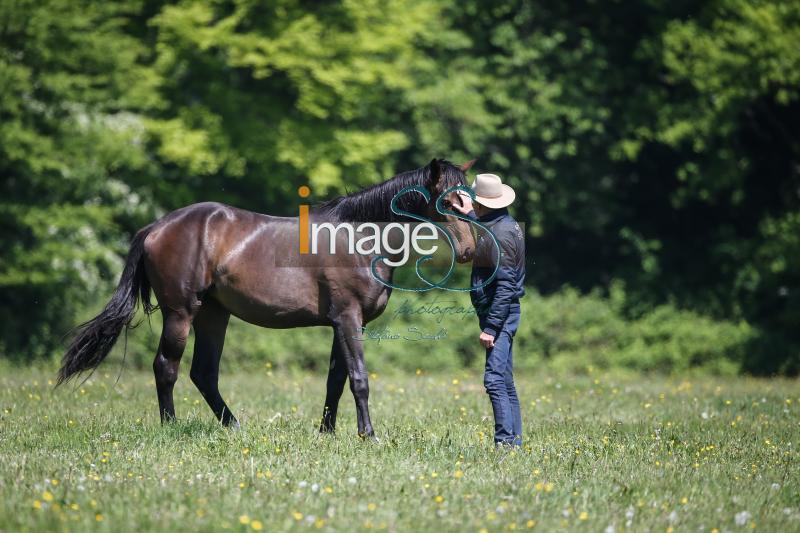 WOW_France2017_SS7_8313.jpg