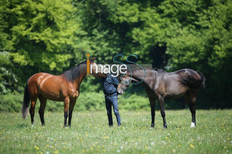 WOW_France2017_SS7_8321.jpg