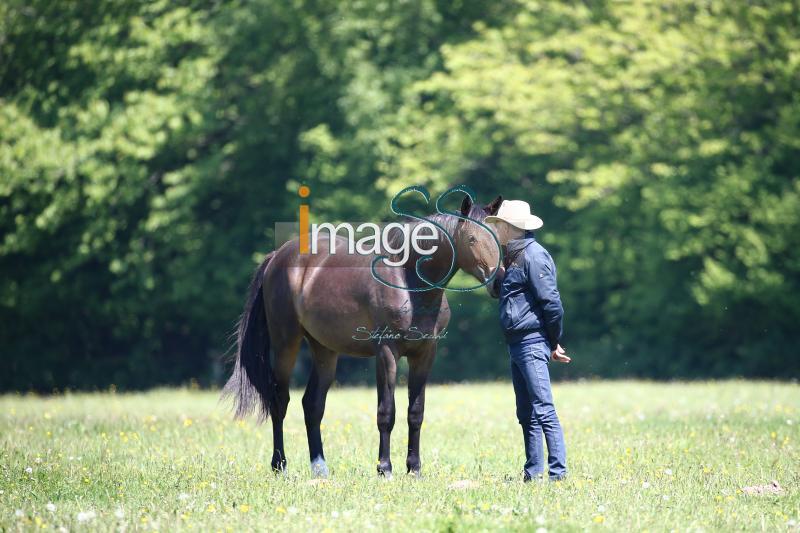 WOW_France2017_SS7_8333.jpg