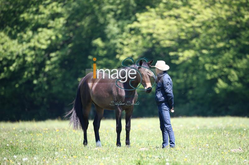 WOW_France2017_SS7_8334.jpg