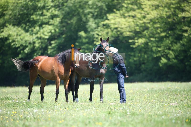 WOW_France2017_SS7_8345.jpg