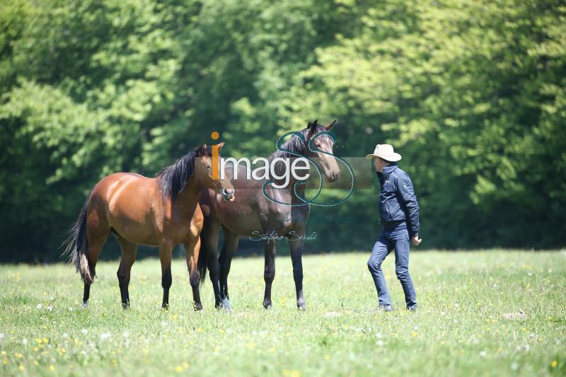 WOW_France2017_SS7_8347.jpg