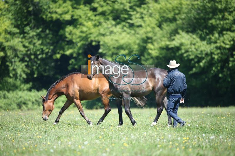 WOW_France2017_SS7_8369.jpg