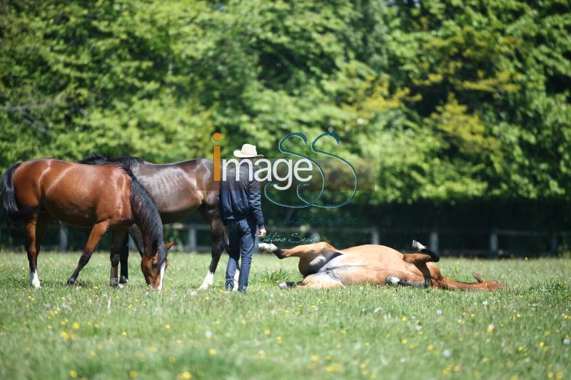 WOW_France2017_SS7_8439.jpg