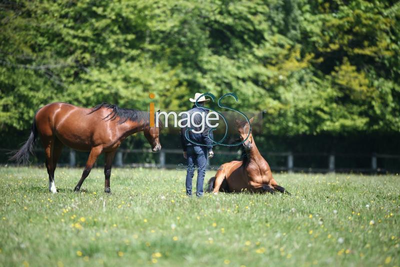 WOW_France2017_SS7_8459.jpg