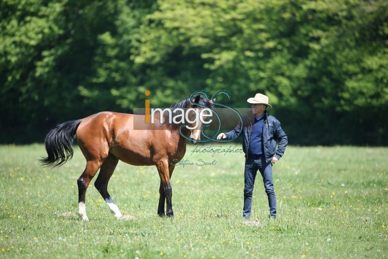 WOW_France2017_SS7_8506.jpg