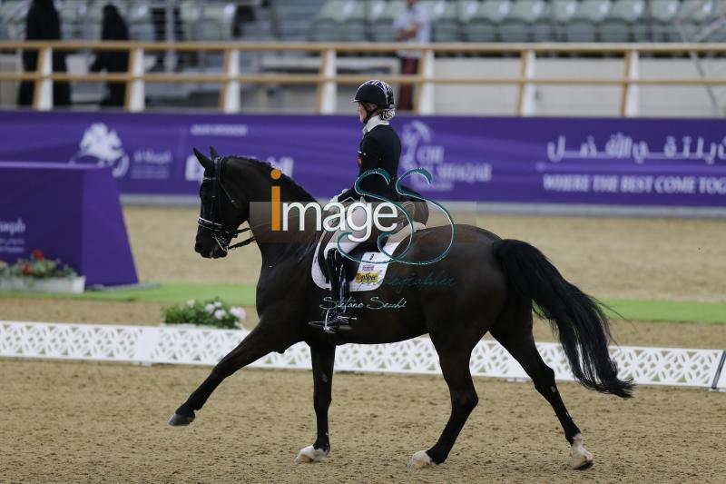 Watson-Greaves_Rubins_Doha2019__S3_8823.jpg