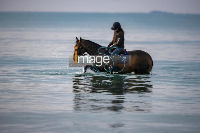 beach_LaBaule2019_SS7_1449.jpg