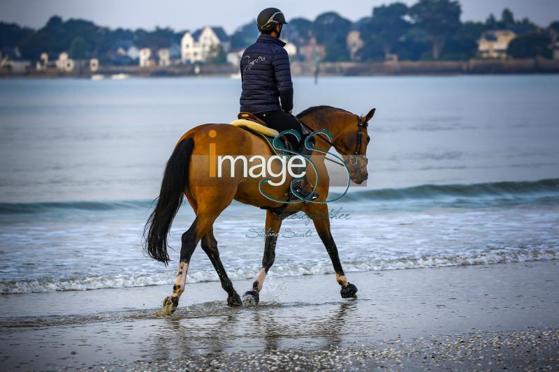 beach_LaBaule2019_SS9_0353.jpg