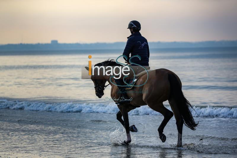 beach_LaBaule2019_SS9_0390.jpg