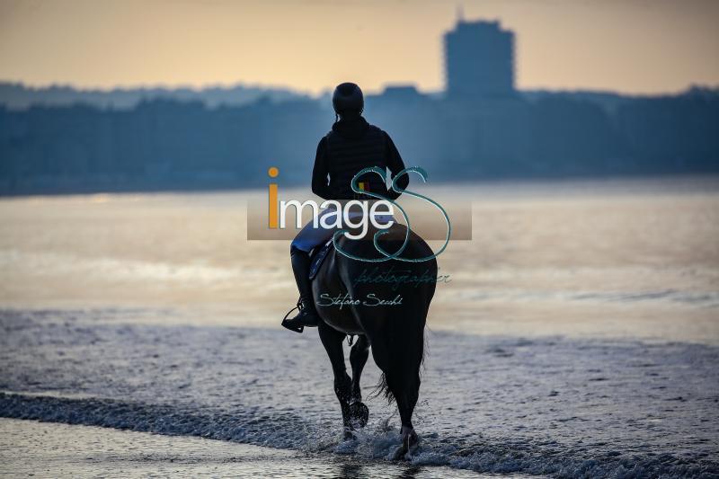 beach_LaBaule2019_SS9_0452.jpg