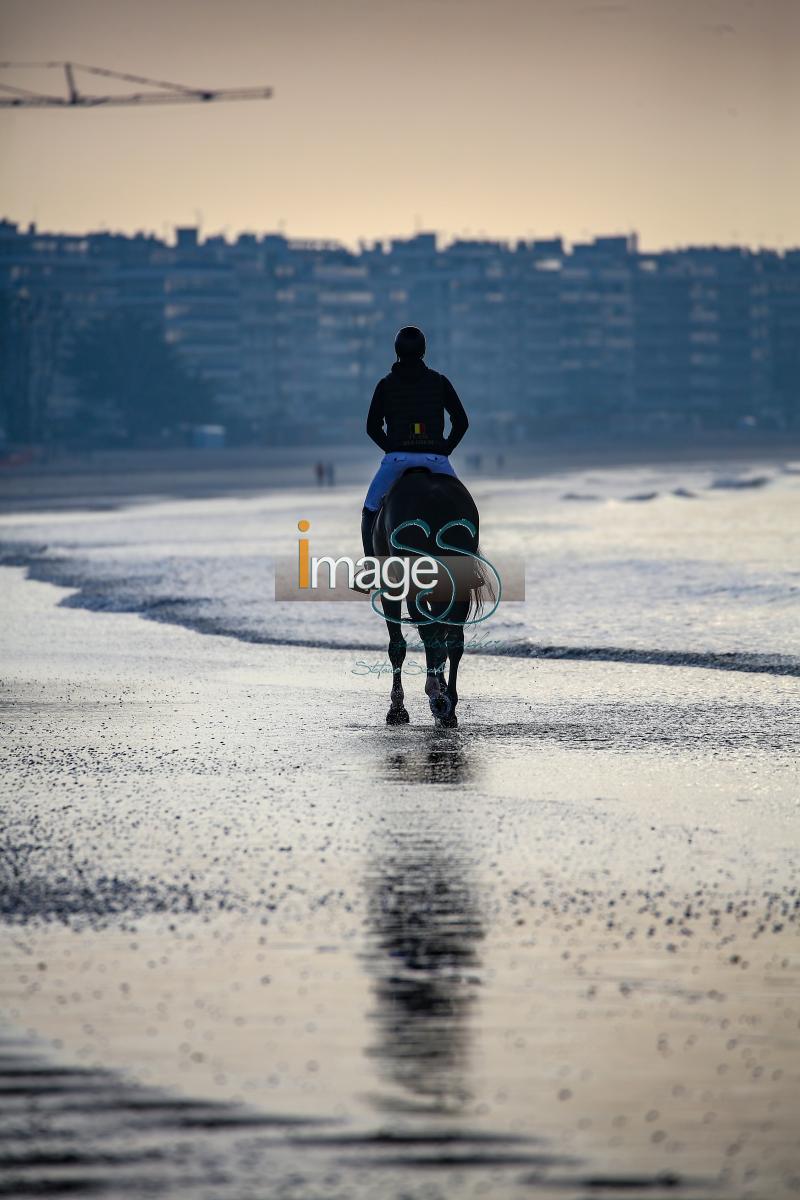 beach_LaBaule2019_SS9_0475.jpg