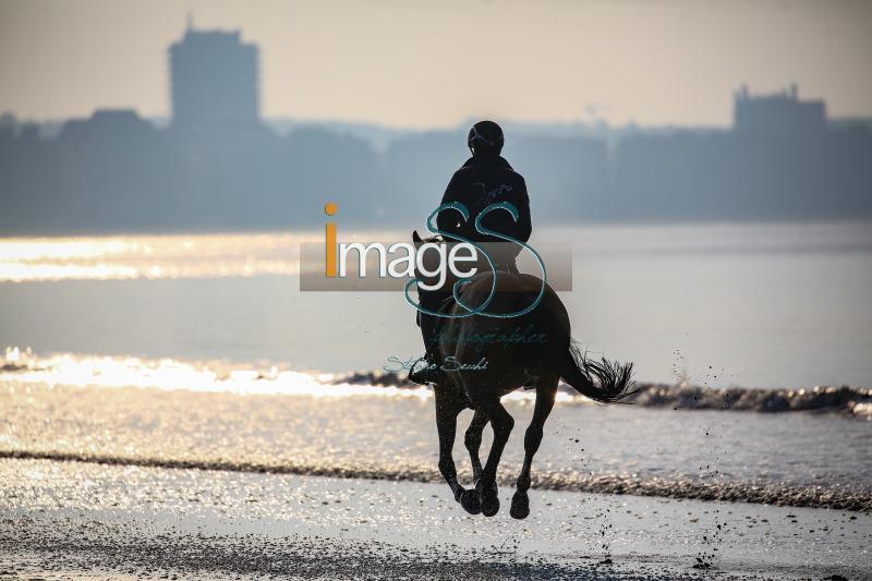 beach_LaBaule2019_SS9_0656.jpg