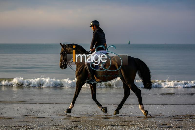 beach_LaBaule2019_SS9_0712.jpg