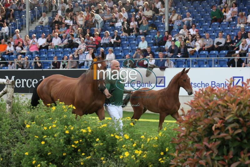 mix_Aachen2016_IMG_9221.jpg