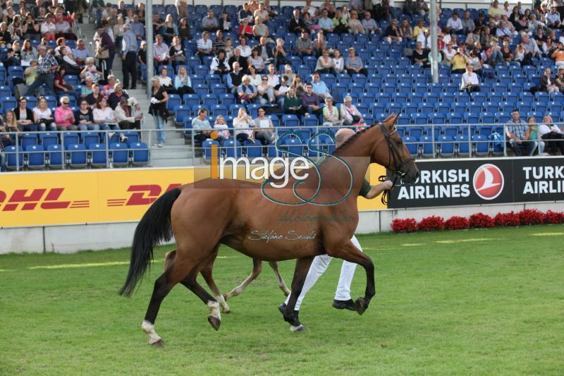 mix_Aachen2016_IMG_9223.jpg