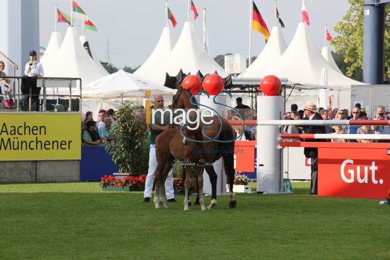 mix_Aachen2016_IMG_9228.jpg