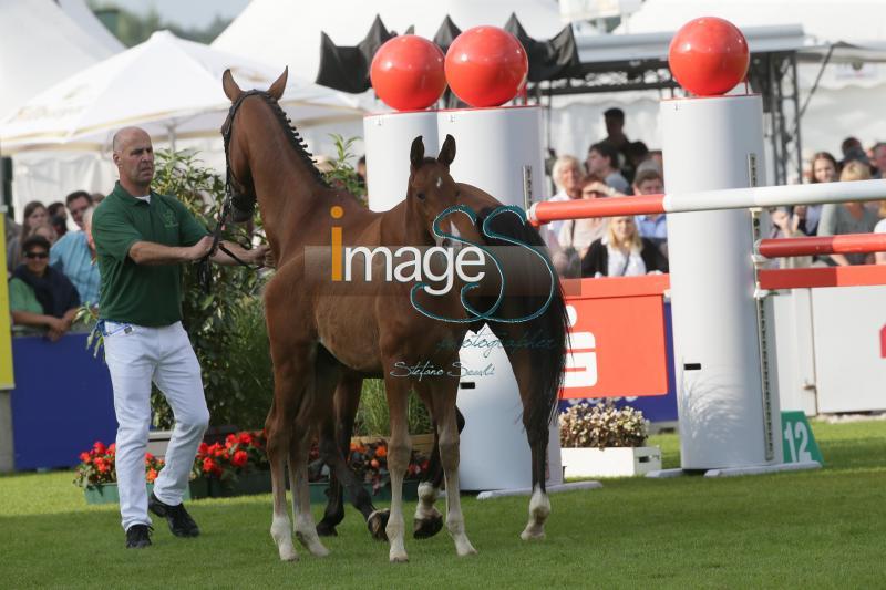 mix_Aachen2016_SS7_9934.jpg
