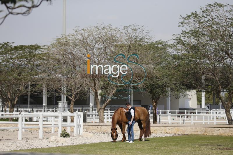 mix_Doha2019__S3_8181.jpg