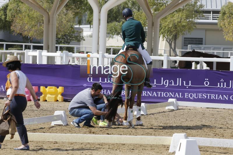 mix_Doha2019__S3_8271.jpg