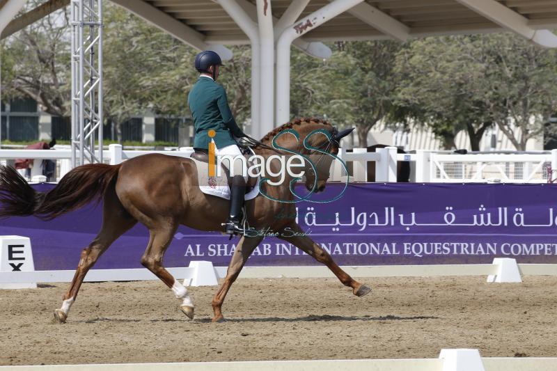 mix_Doha2019__S3_8280.jpg