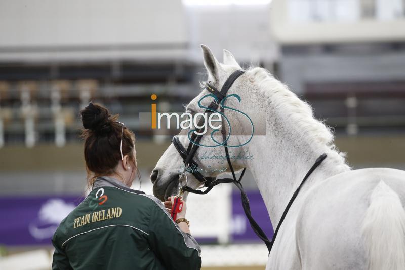 mix_Doha2019__S3_8612.jpg