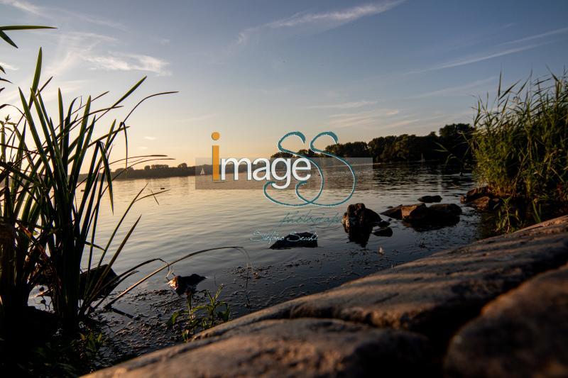mix_Rotterdam2019_IMG_2207.jpg