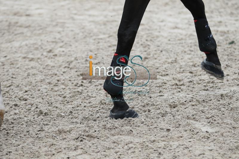 particolari_Rotterdam2016_SS8_7766.jpg