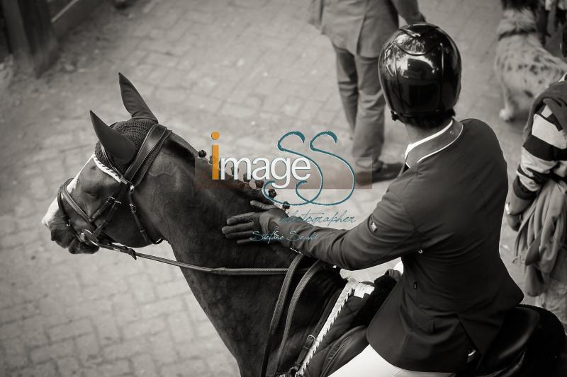 particolari_Rotterdam2016_SS8_7869-2.JPG
