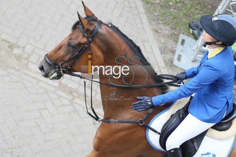particolari_Rotterdam2016_SS8_7946.JPG