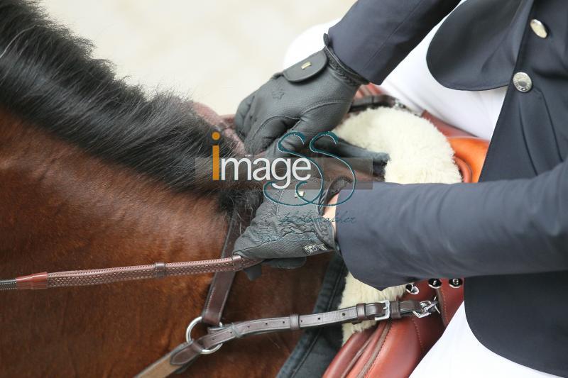 particolari_Rotterdam2016_SS8_7954.JPG
