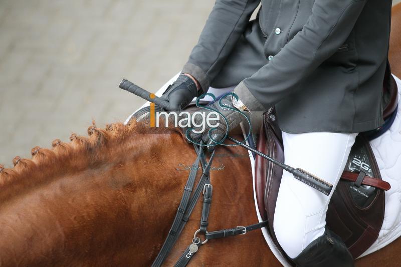 particolari_Rotterdam2016_SS8_7981.JPG