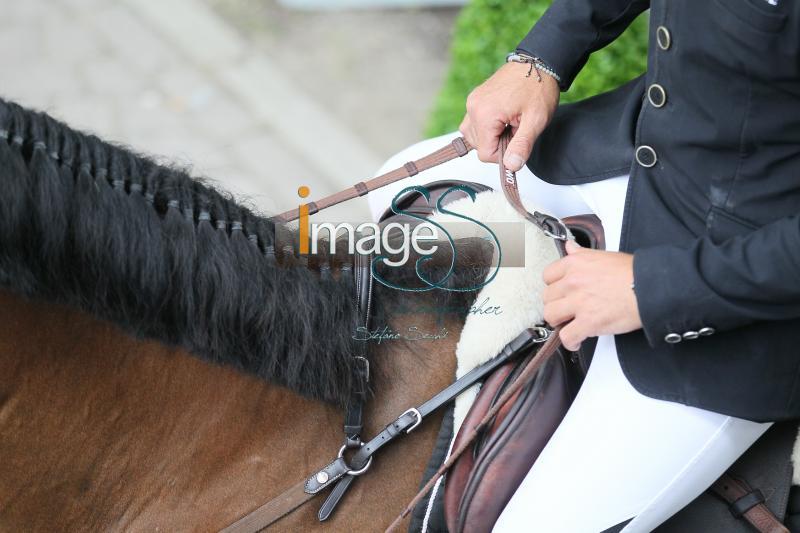 particolari_Rotterdam2016_SS8_8014.JPG