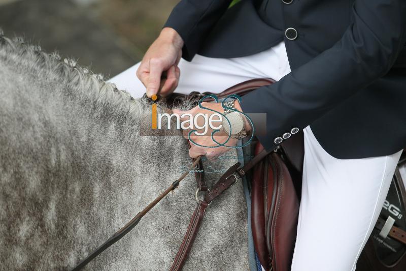 particolari_Rotterdam2016_SS8_8158.JPG