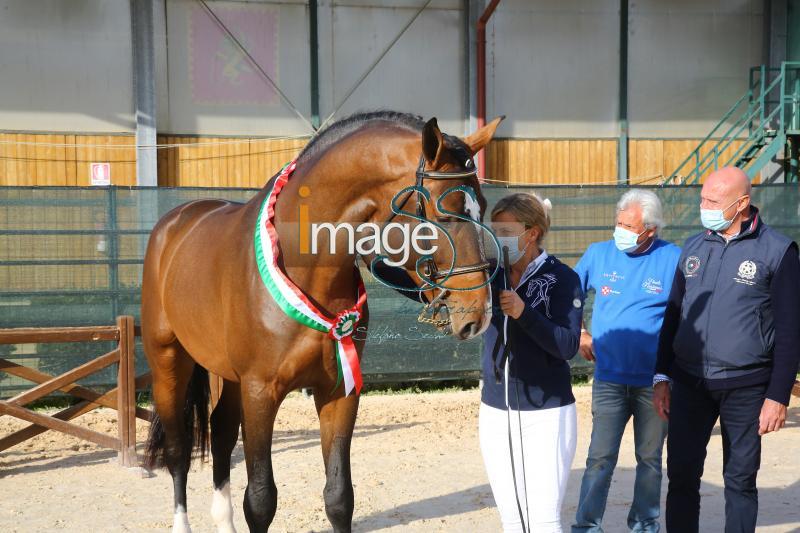 premiazione_Arezzo2020_SS9_5831.JPG