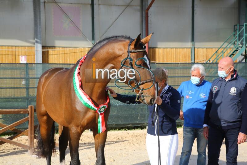 premiazione_Arezzo2020_SS9_5832.JPG