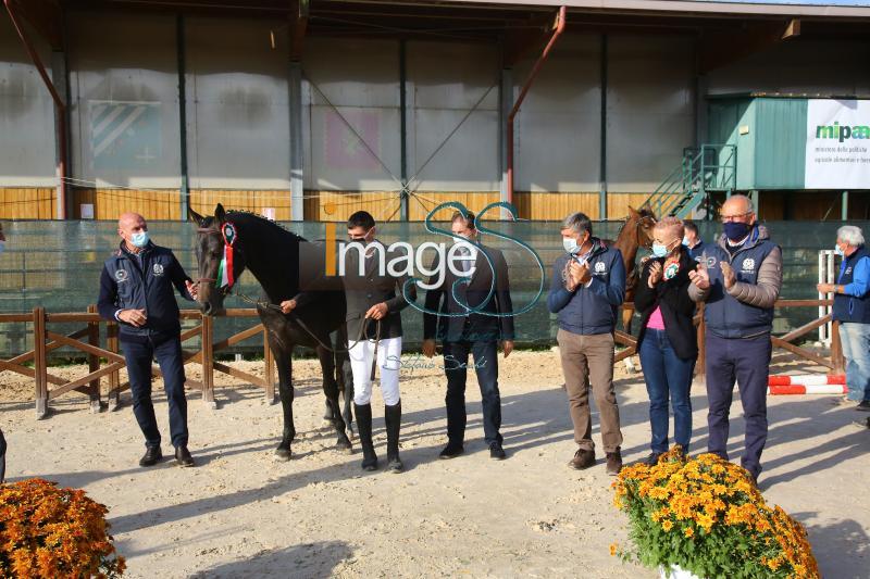 premiazione_Arezzo2020_SS9_5884.JPG