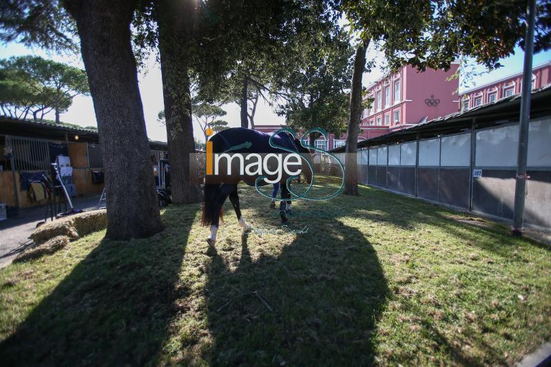 scuderie_GlobalRoma2017_SS7_9087.jpg