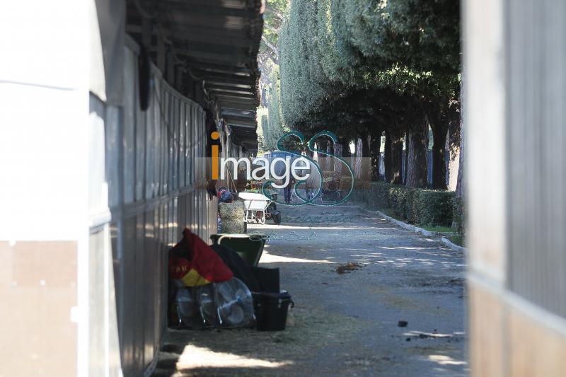 scuderie_GlobalRoma2017_SS8_1852.jpg