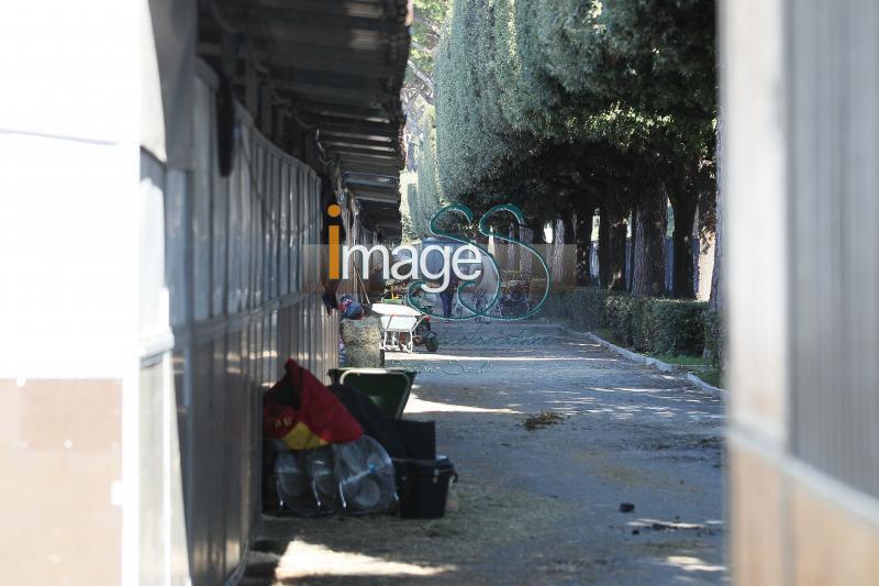 scuderie_GlobalRoma2017_SS8_1853.jpg