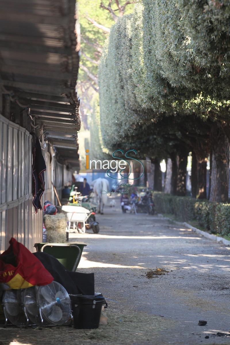 scuderie_GlobalRoma2017_SS8_1856.jpg