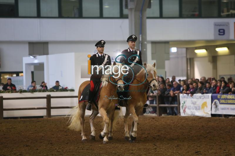 varie_Verona2017_EB0_3820.jpg