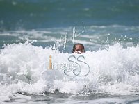 SS7 3663