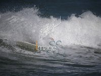 SS7 2341